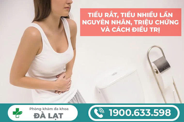 Hình ảnh minh họa